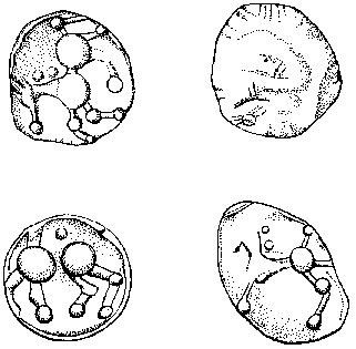 Obr. 8 - Drobn stbrn mince s konkem